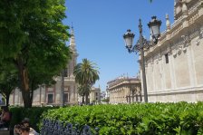 903 sevilla plaza del triunfo